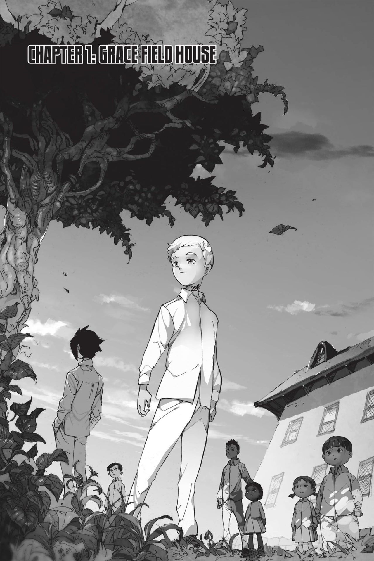 The Promised Neverland (Vol 1)