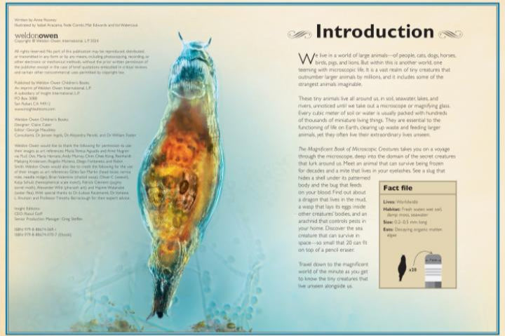 The Magnificent Book of Microscopic Creatures