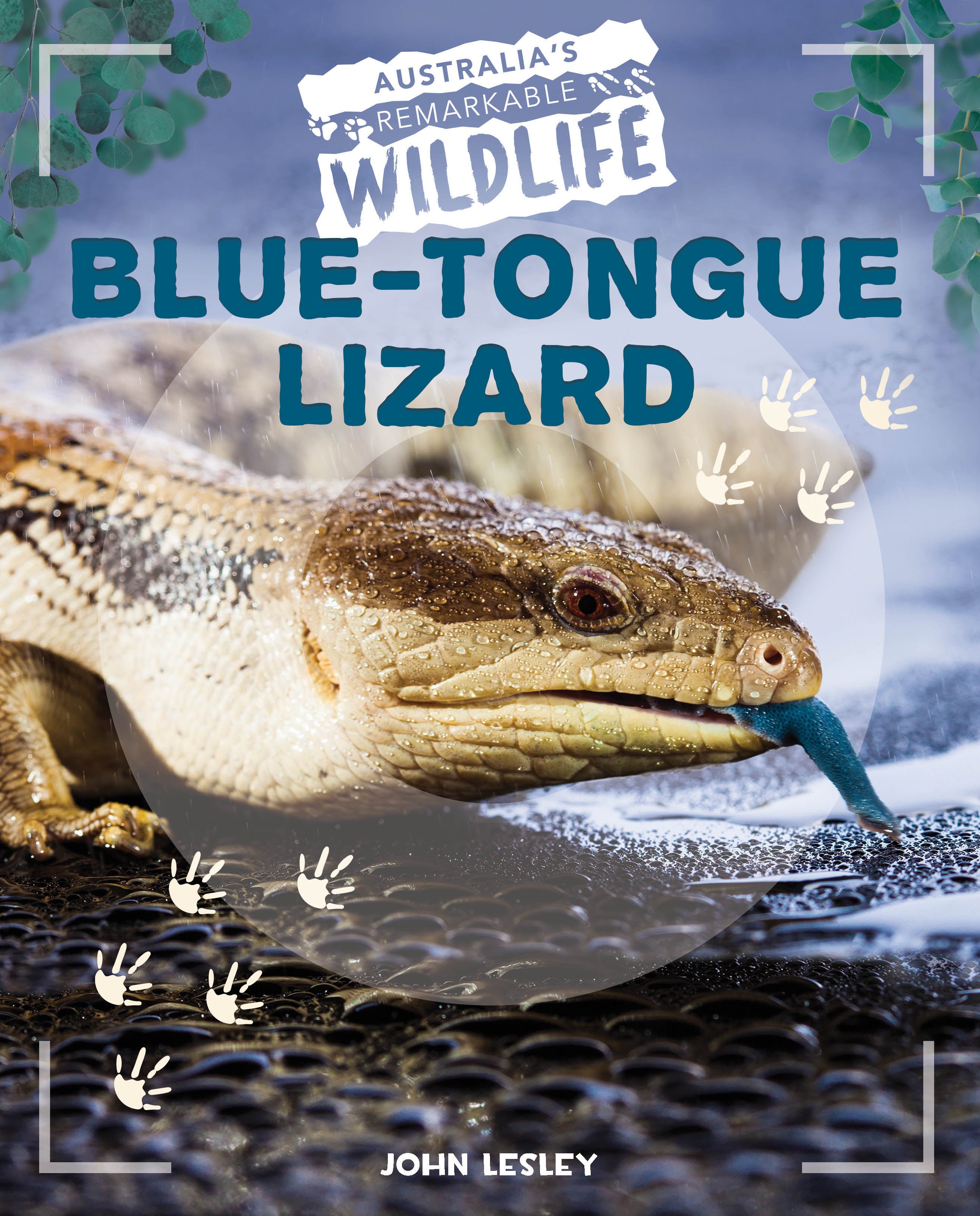 Australia's Remarkable Wildlife: Blue-Tongue Lizard (Softcover)