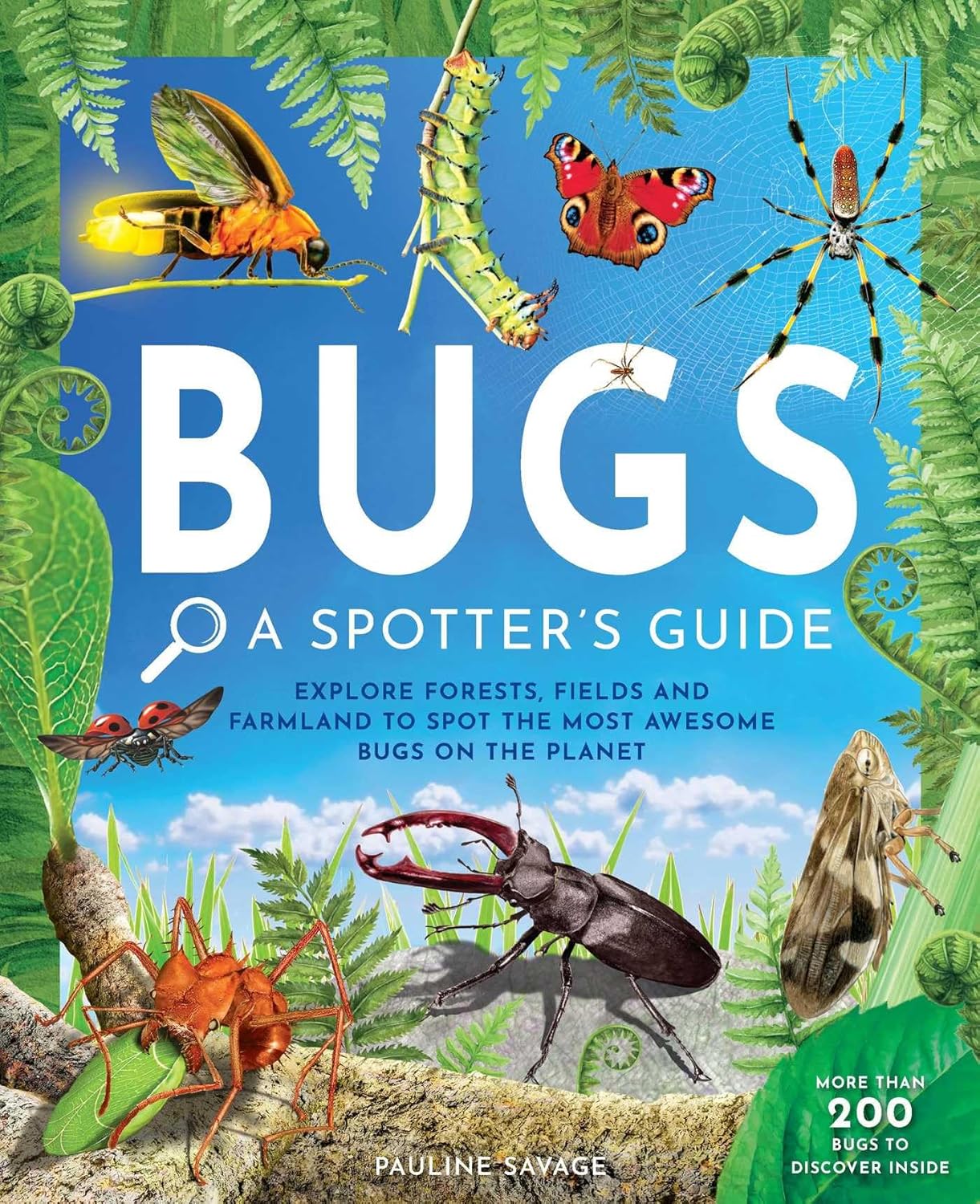 Bugs: A Spotter's Guide