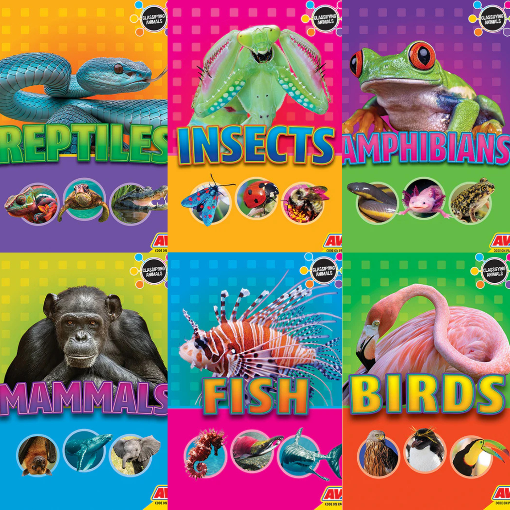 Classifying Animals 3 Pack