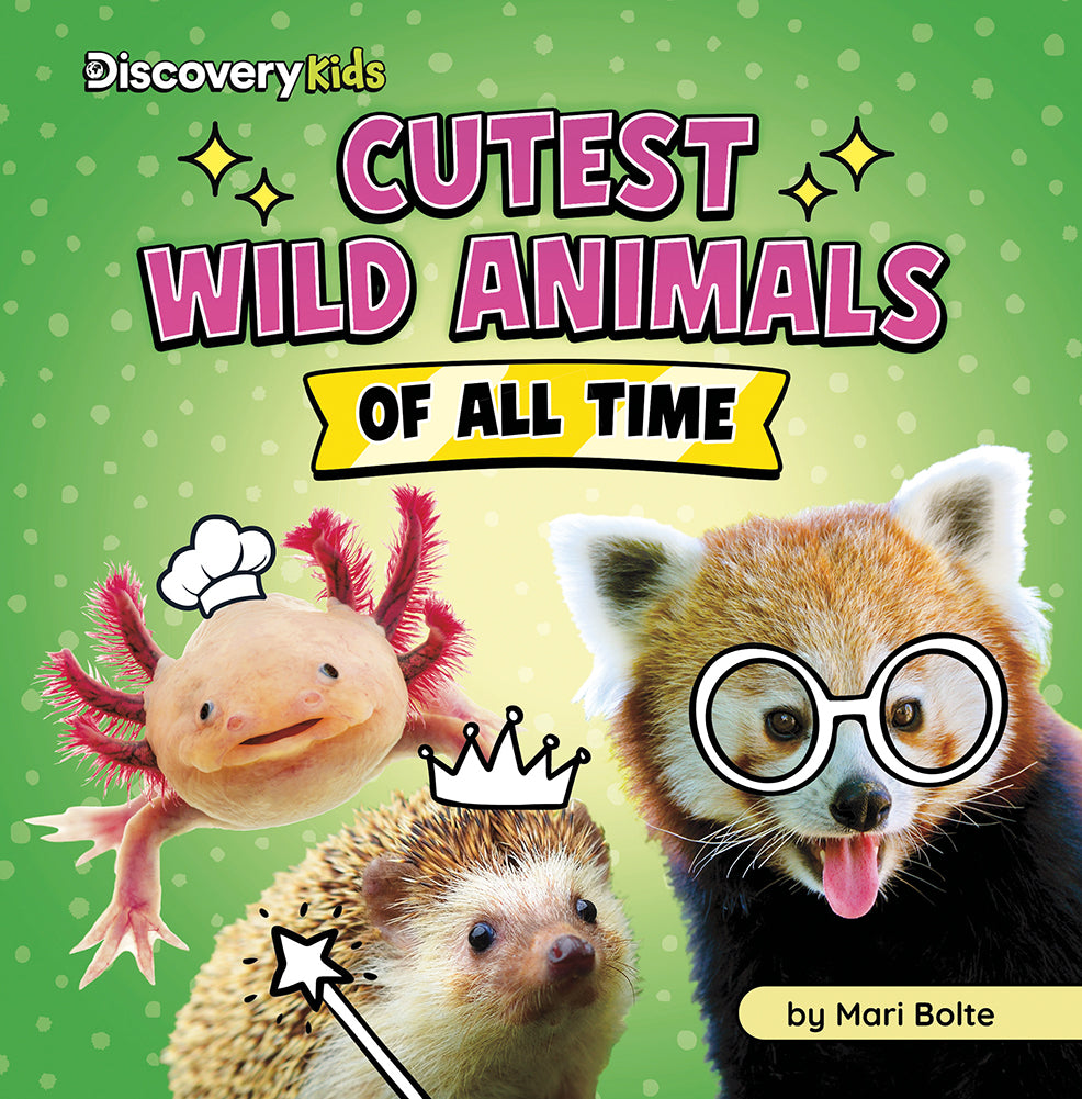 Cutest of All Time: Cutest Wild Animals of All Time