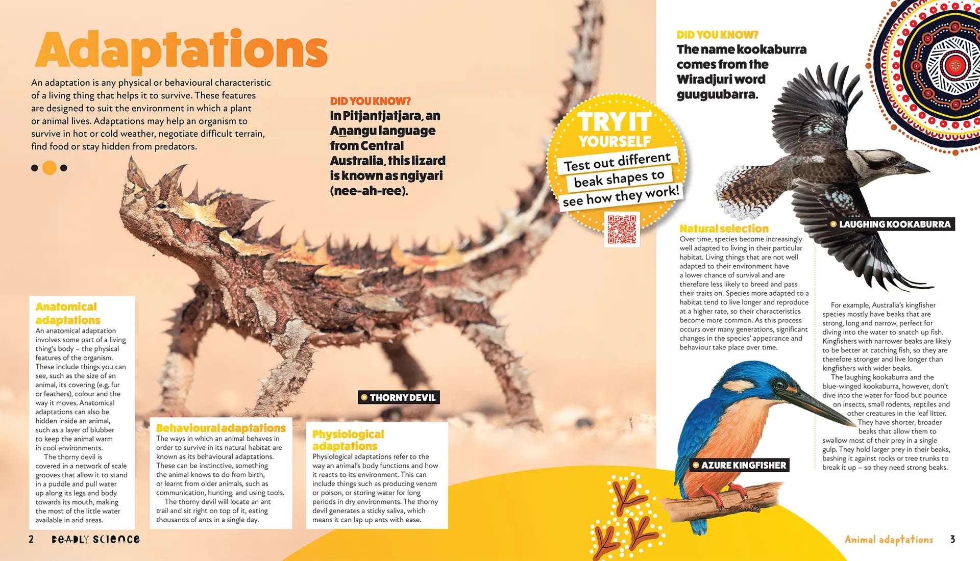 Deadly Science: Animal Adaptation