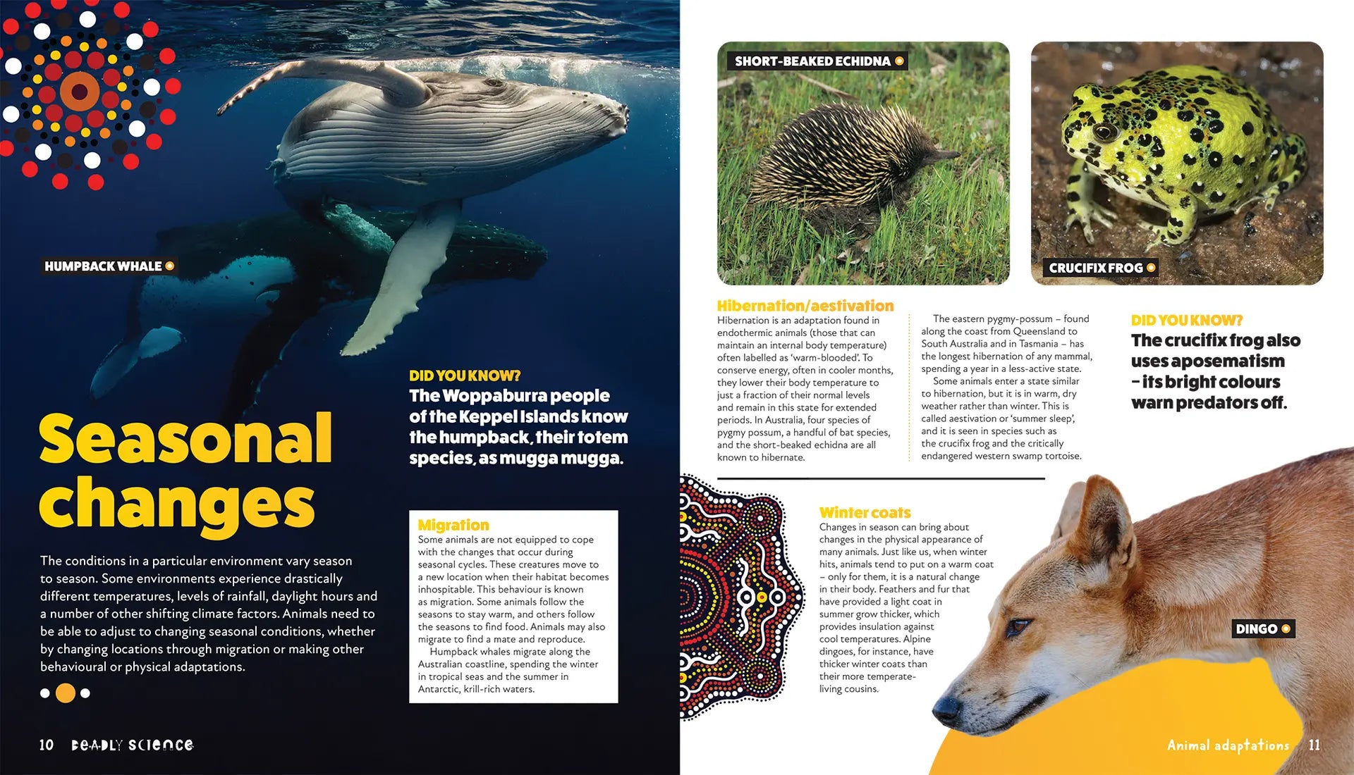 Deadly Science: Animal Adaptation