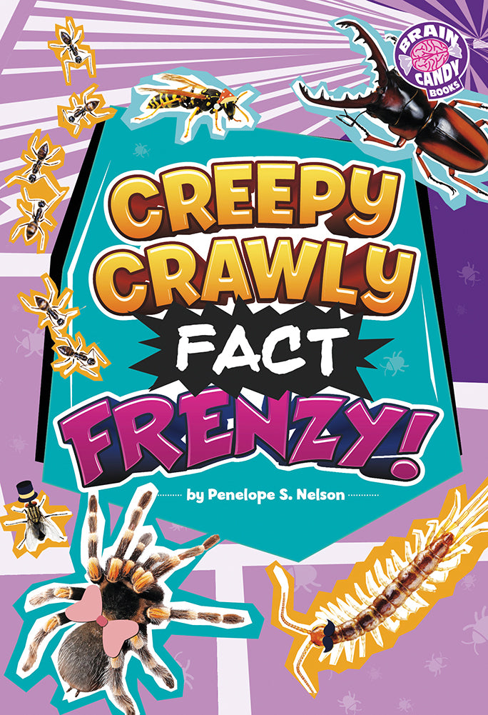 Fact Frenzy: Creepy Crawly Fact Frenzy!