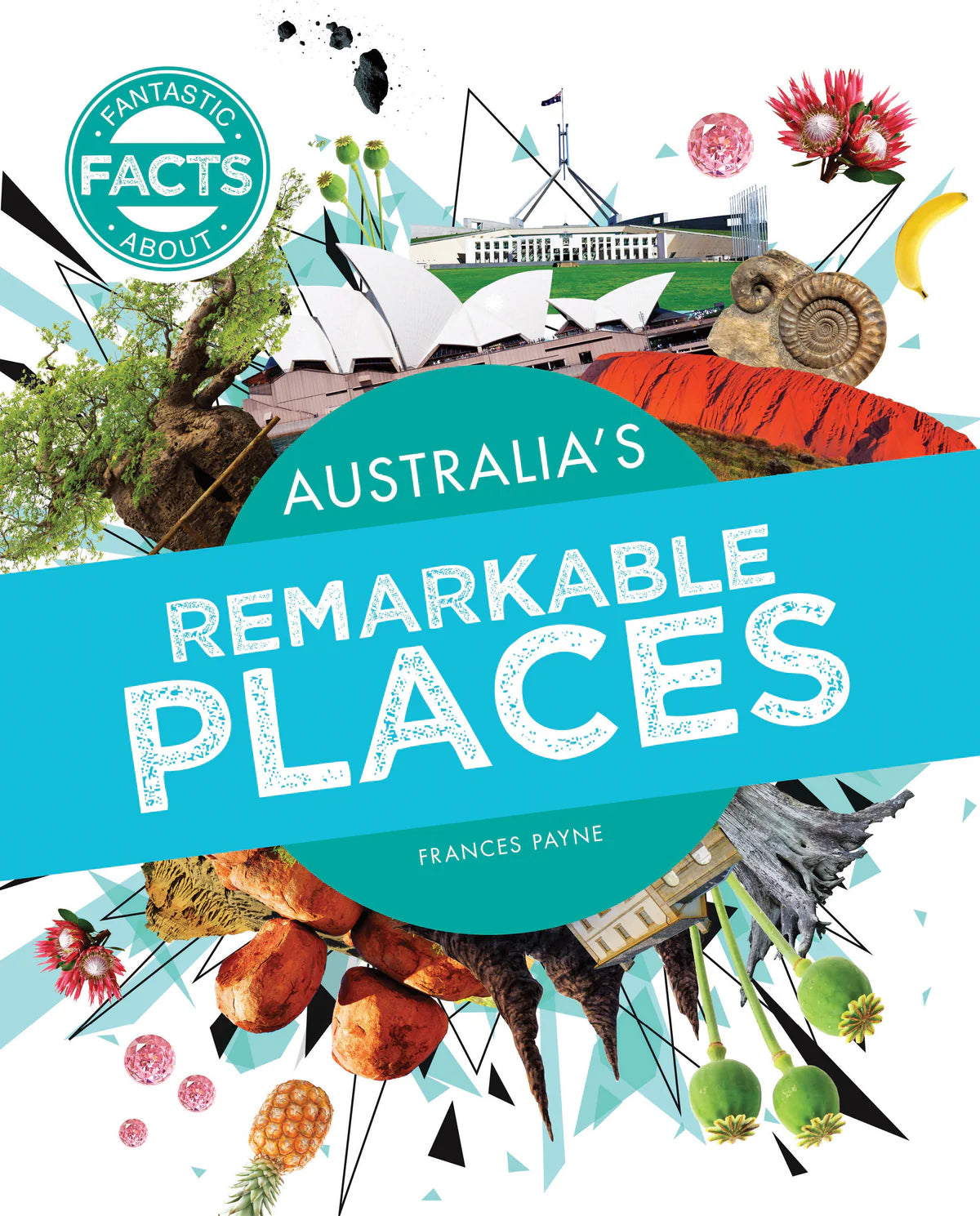 Fantastic Facts About 4 Pack (Softcover)