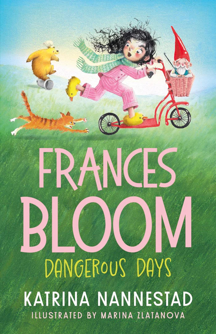 Junior Fiction Variety Pack (40 titles)