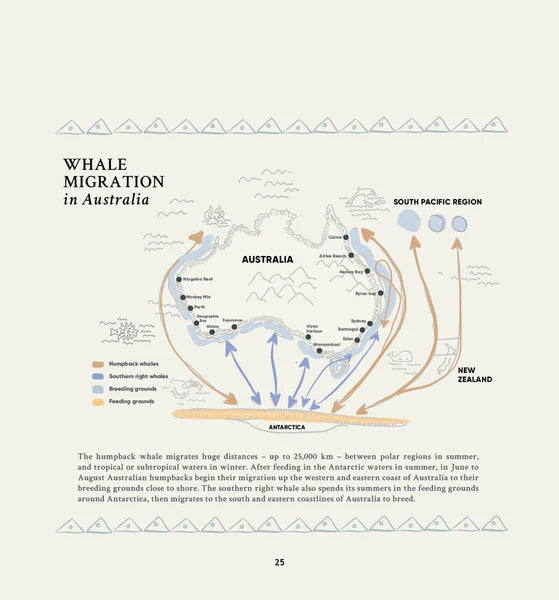 Gurawul the Whale