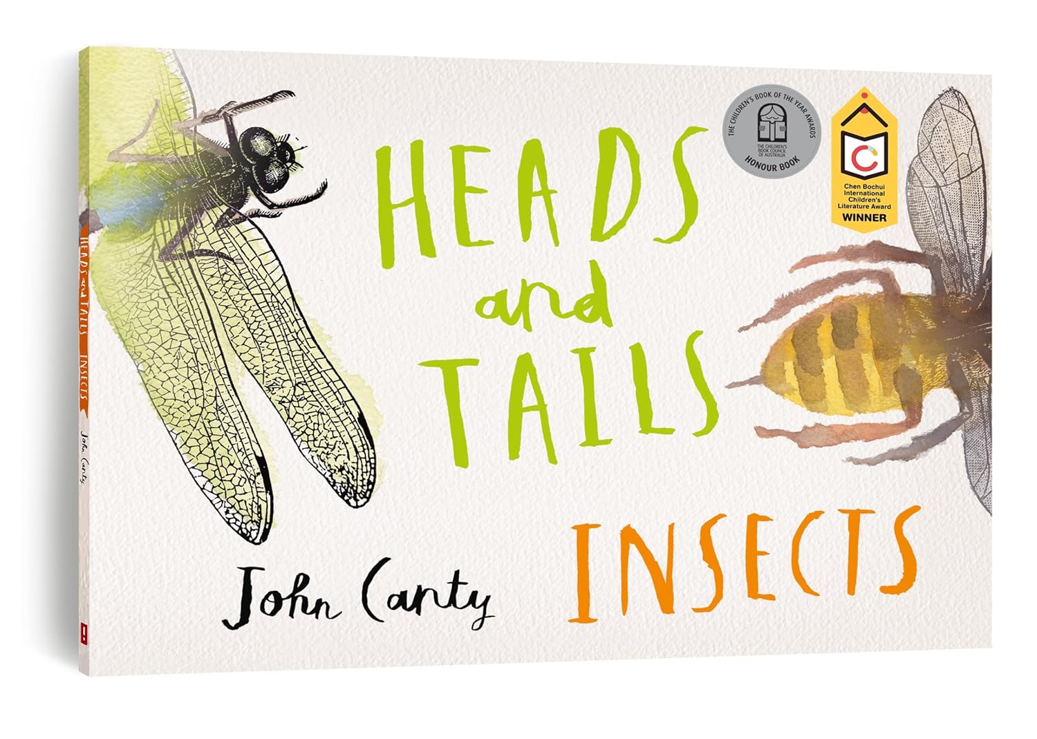 Heads and Tails Insects
