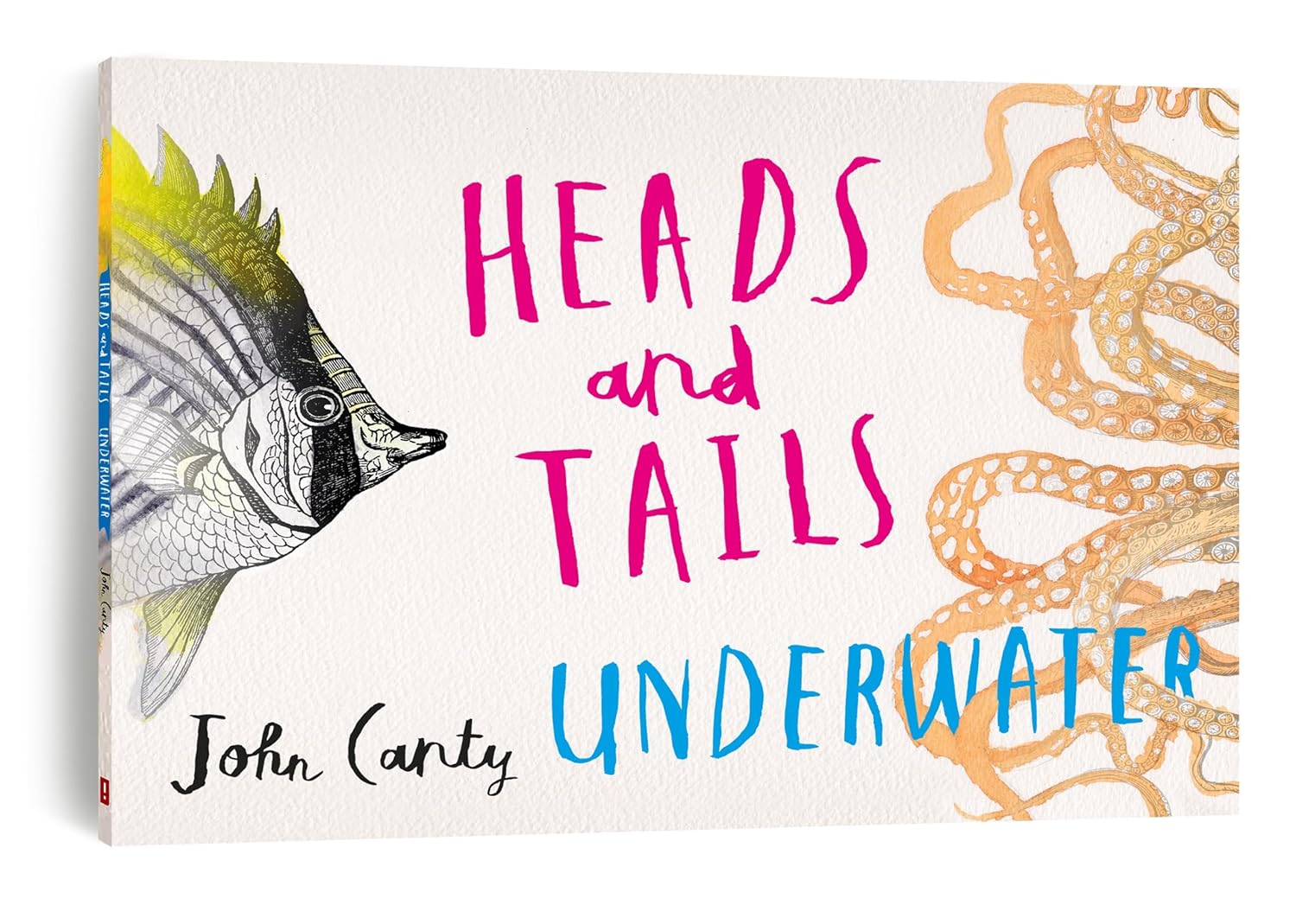 Heads and Tails Underwater
