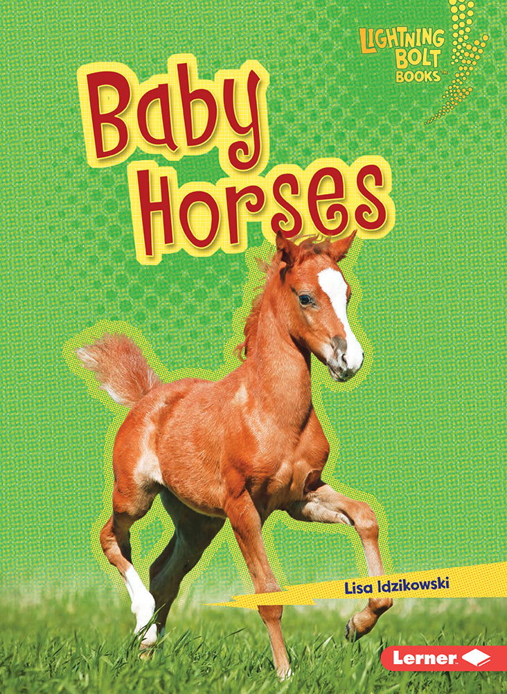 Horse Lover's Library: Baby Horses