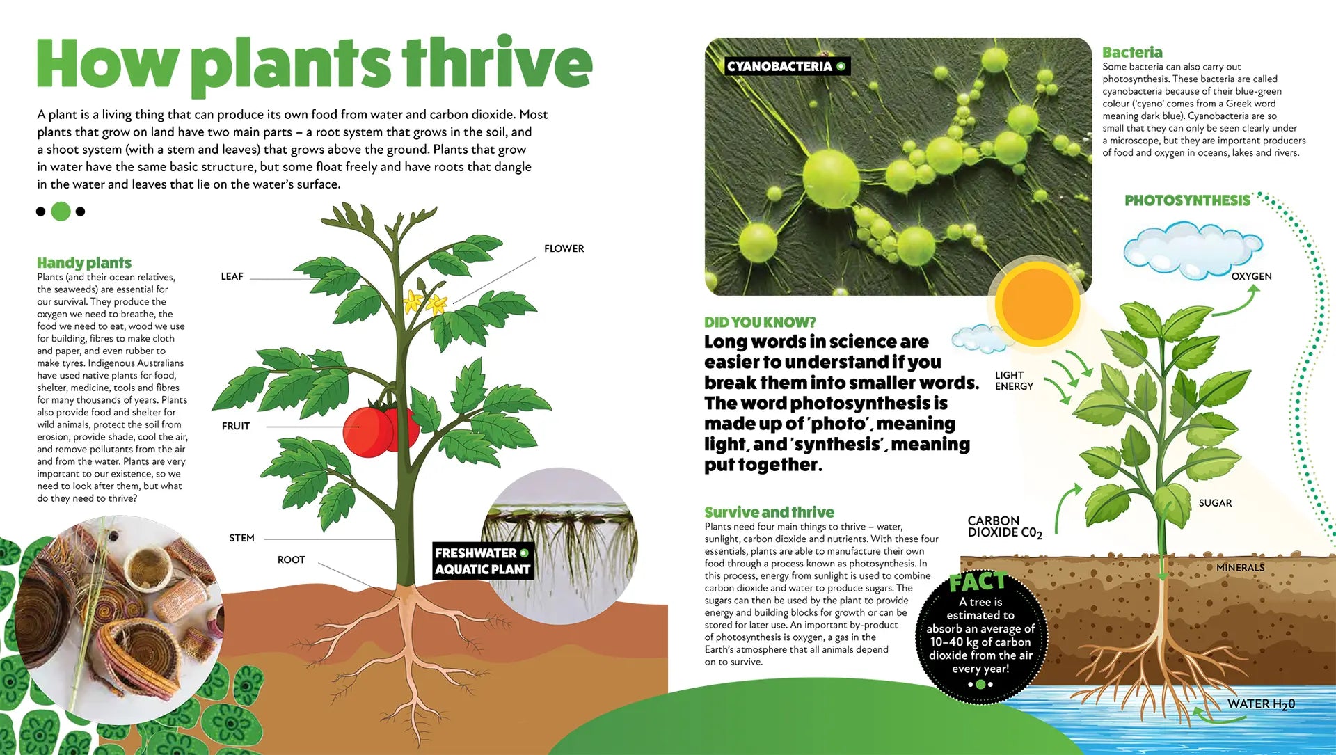 Deadly Science: How Plants Thrive