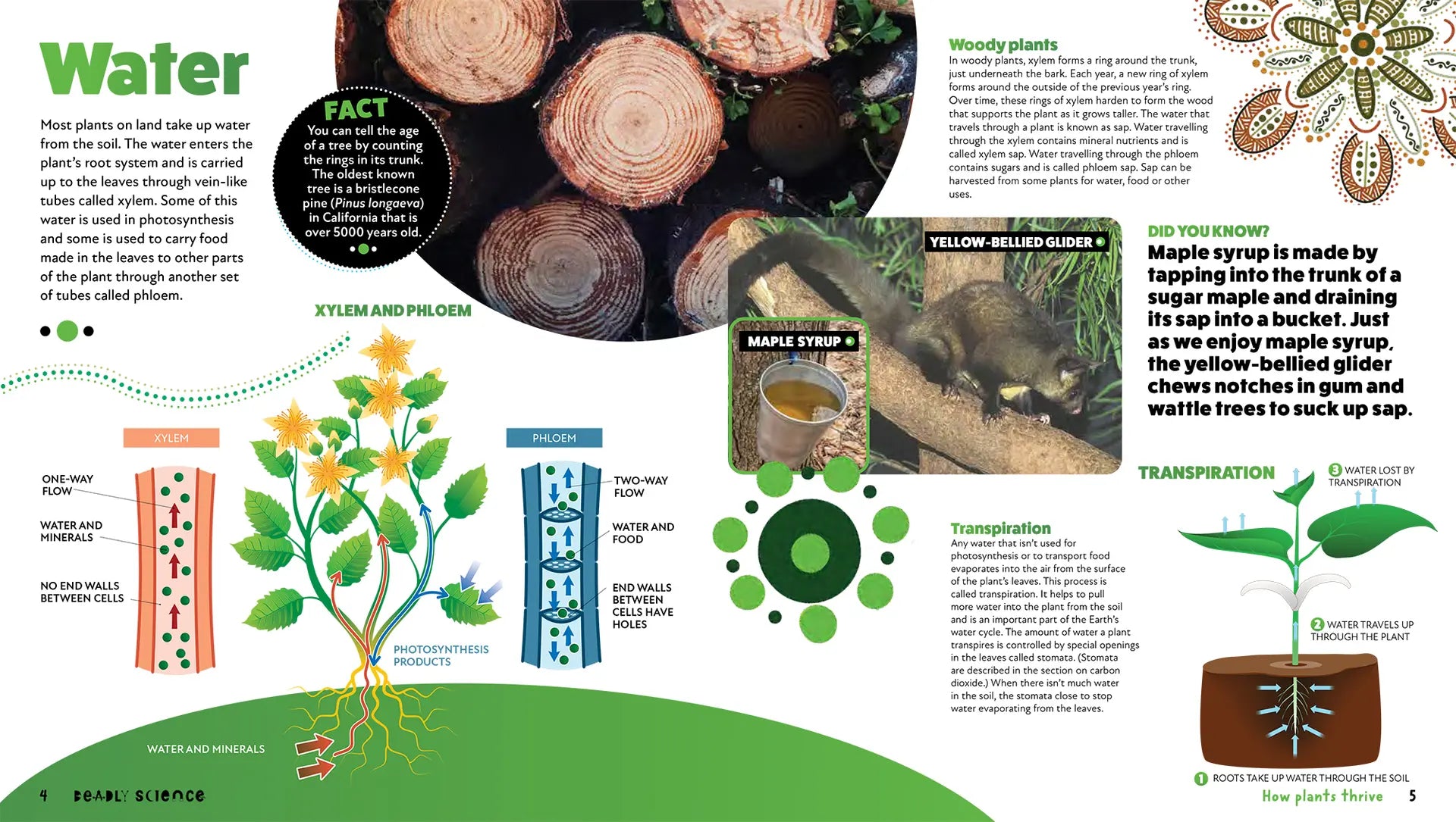 Deadly Science: How Plants Thrive