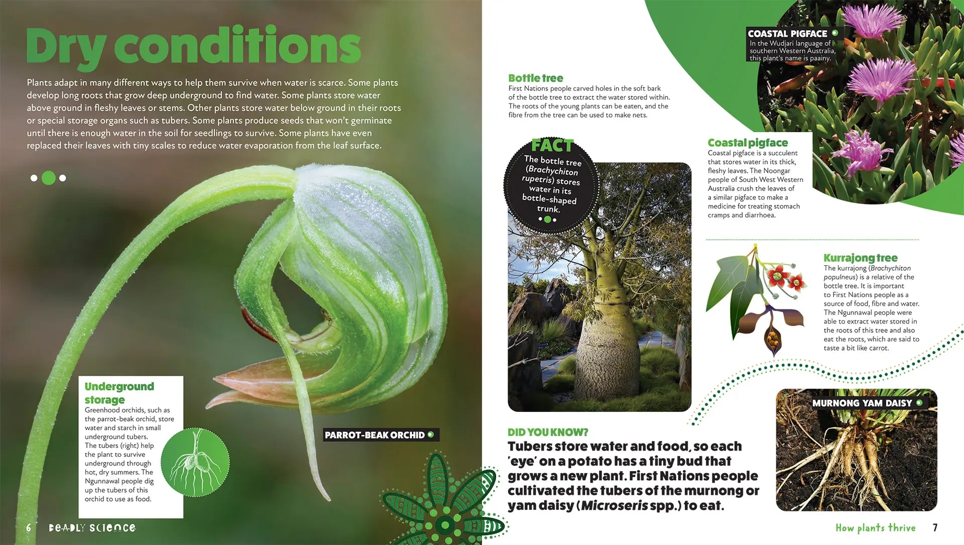 Deadly Science: How Plants Thrive