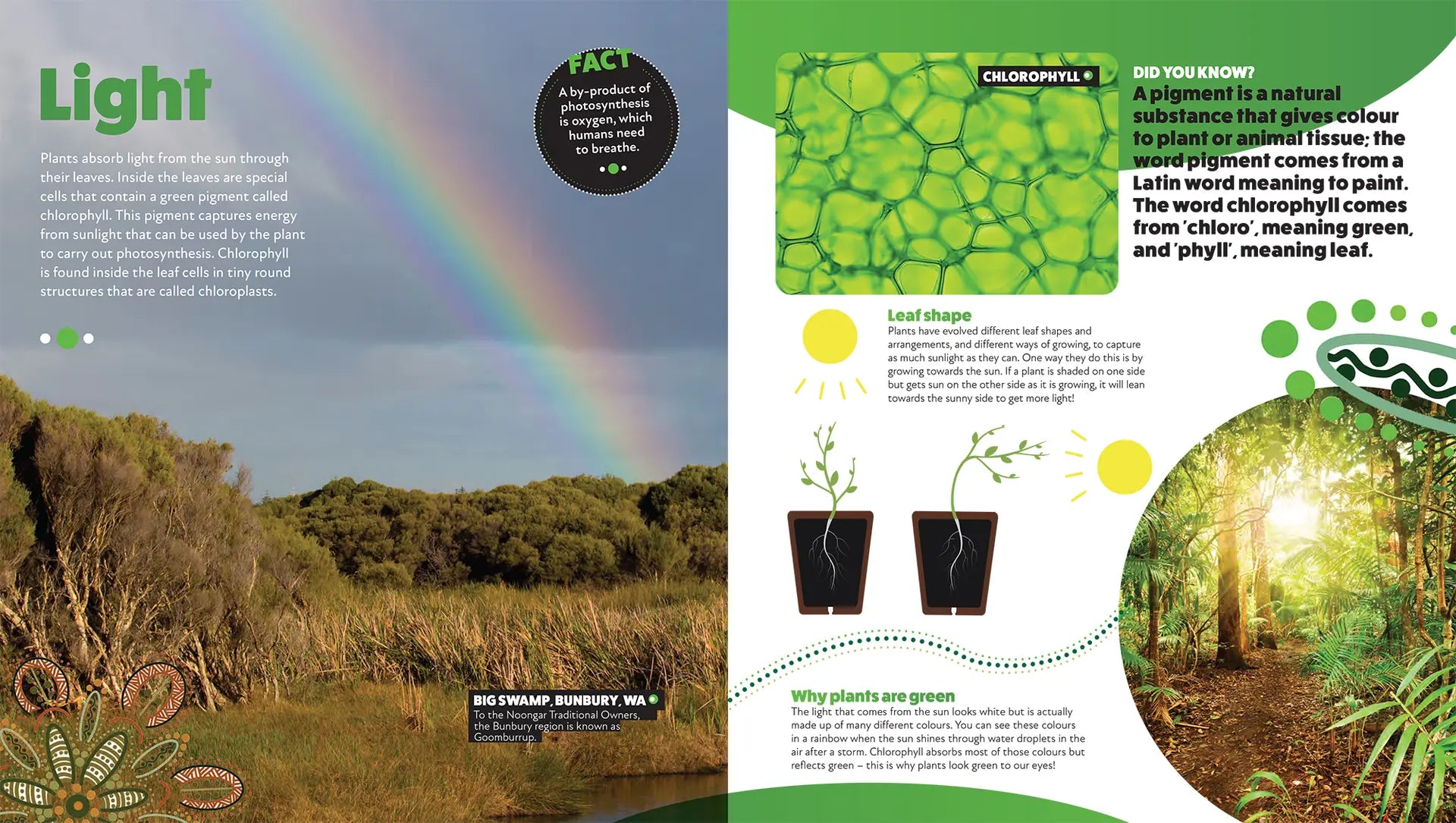 Deadly Science: How Plants Thrive