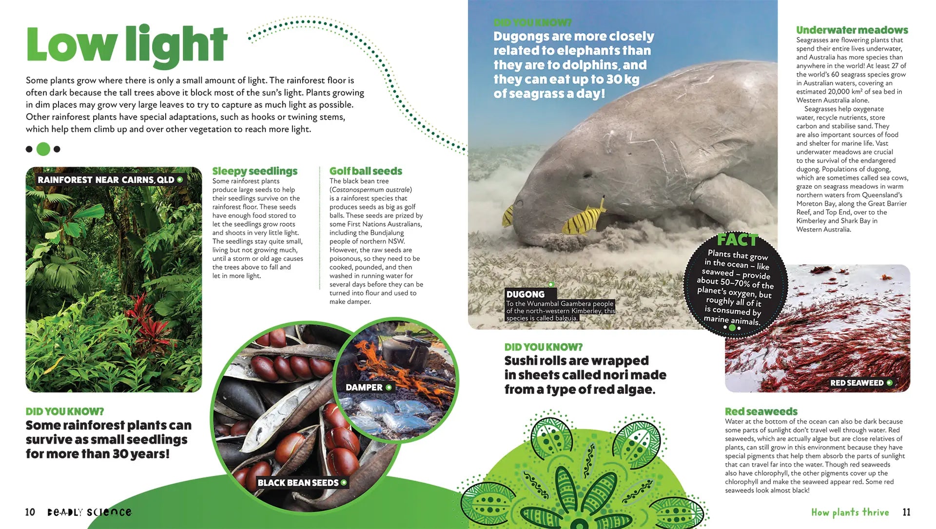 Deadly Science: How Plants Thrive