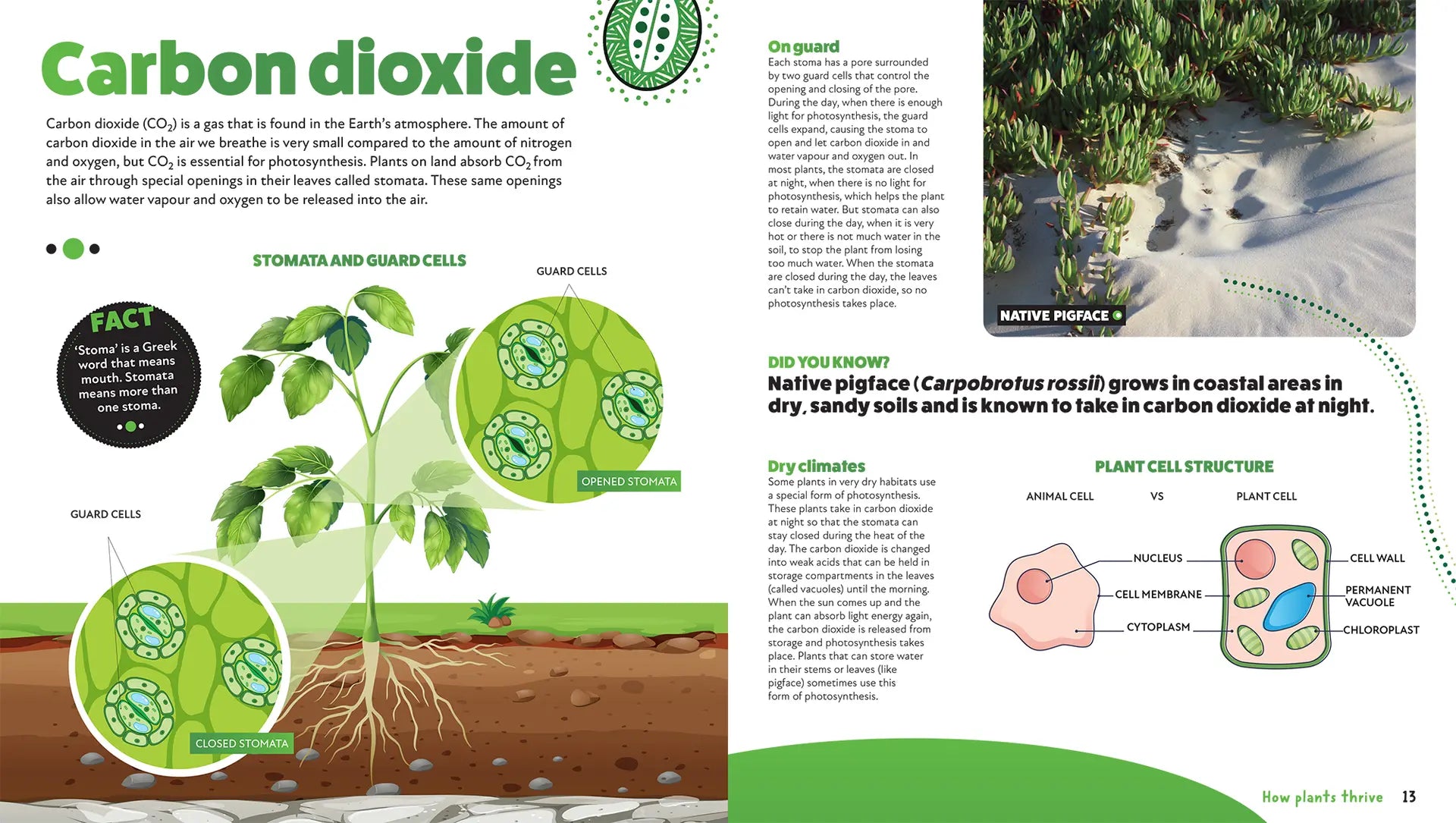 Deadly Science: How Plants Thrive