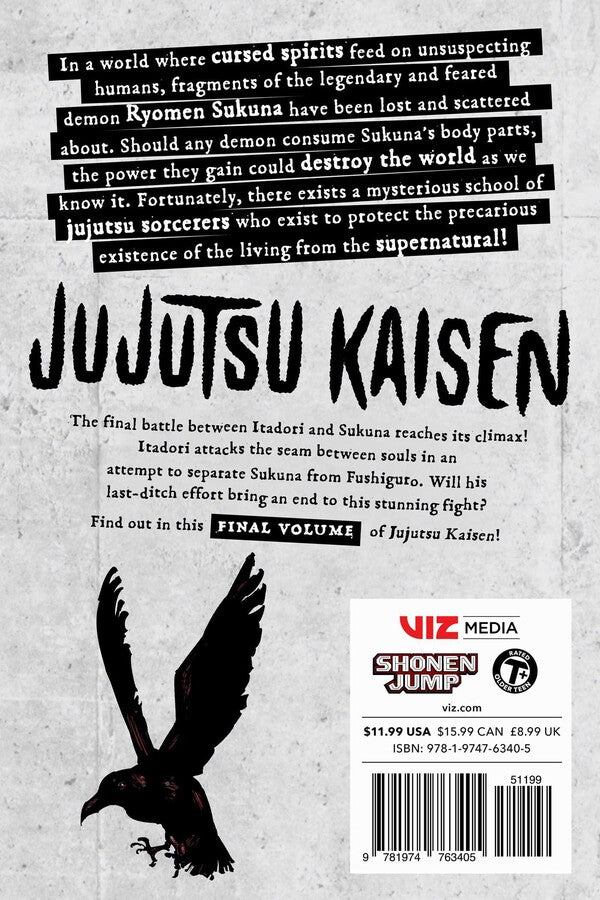 Jujutsu Kaisen, Vol. 30