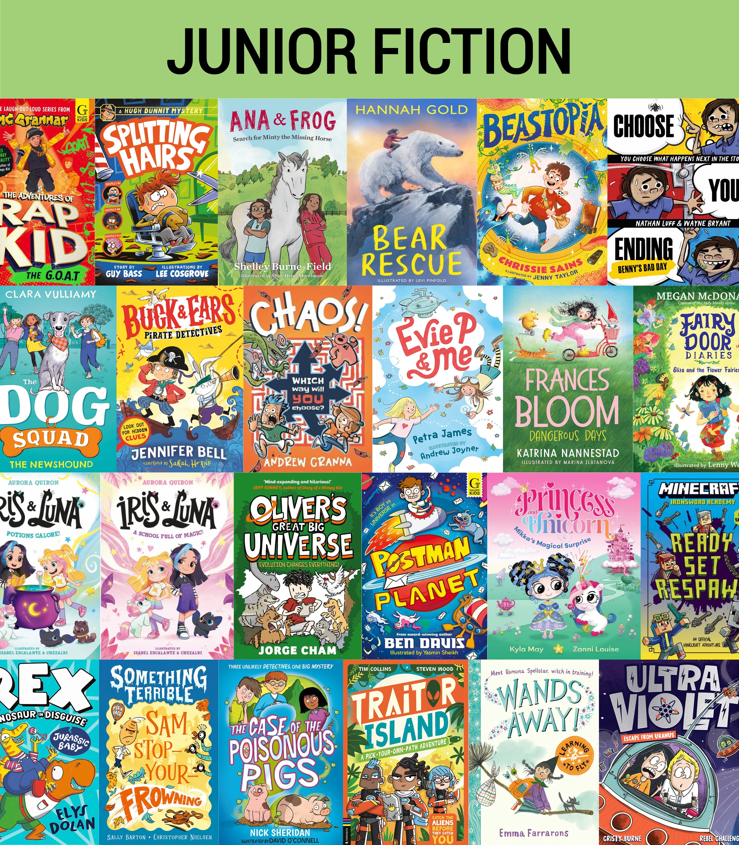 Junior Fiction Variety Pack (40 titles)
