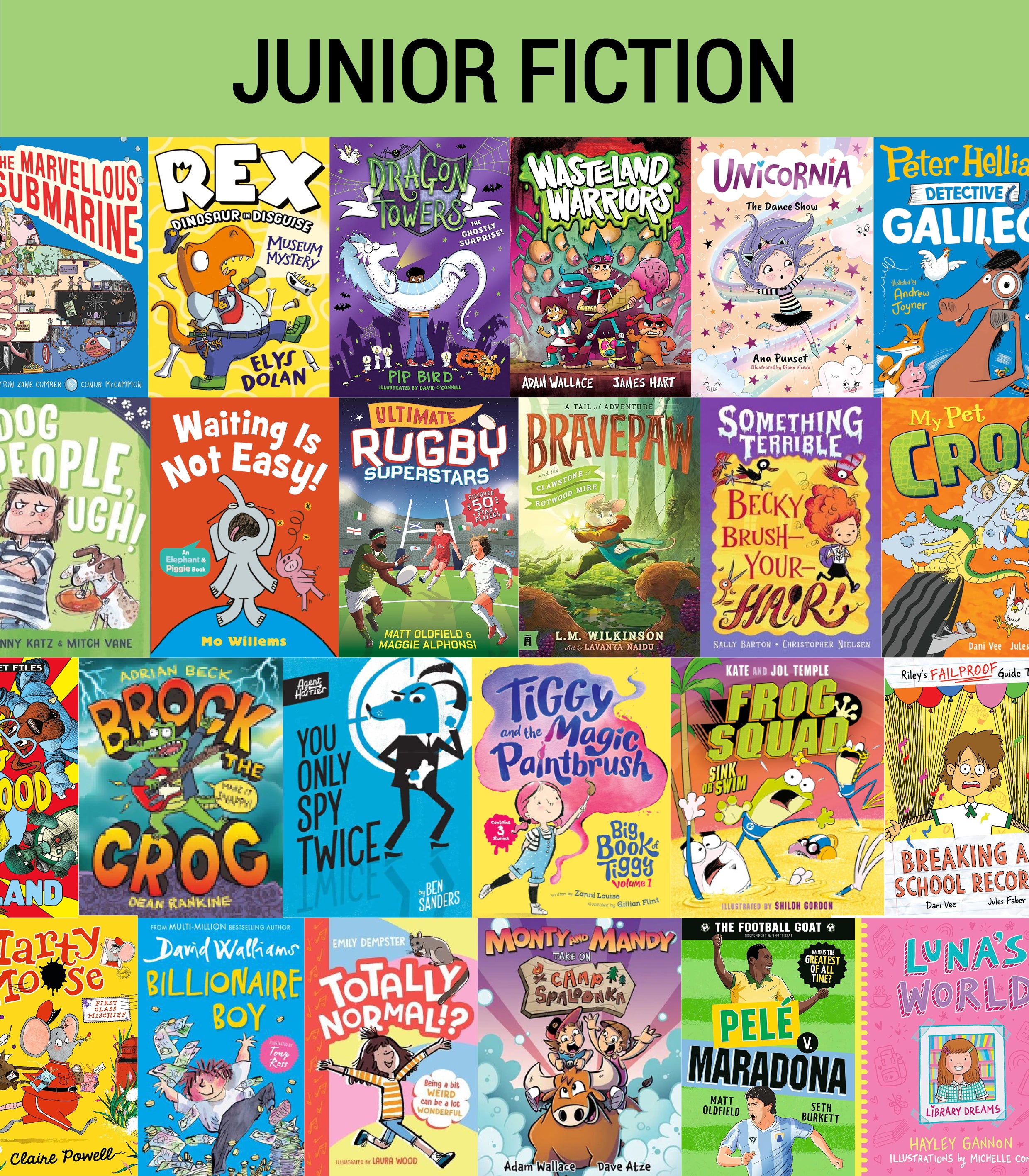 Junior Fiction Variety Pack (40 titles)