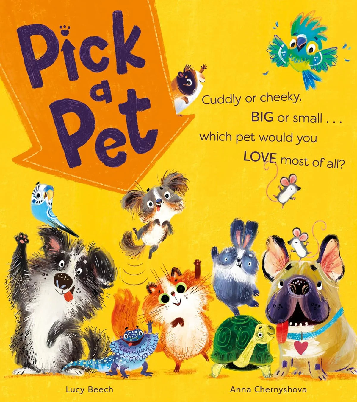 Picture Book (Softcover) Variety Pack (40 titles)