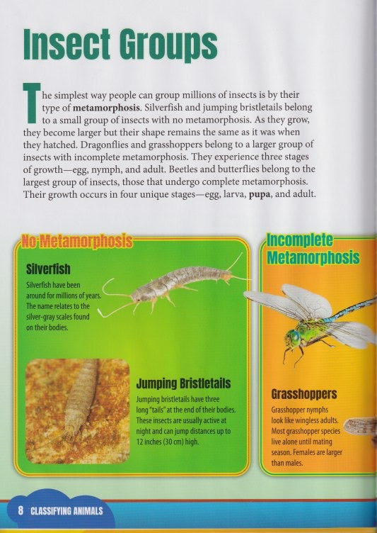 Classifying Animals: Insects
