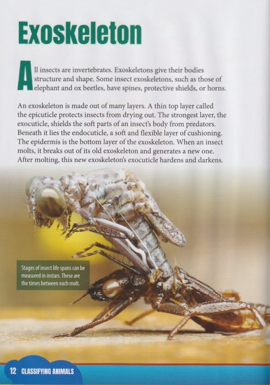 Classifying Animals: Insects