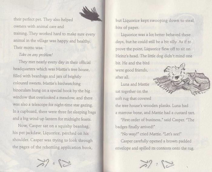 Junior Fiction Variety Pack (40 titles)