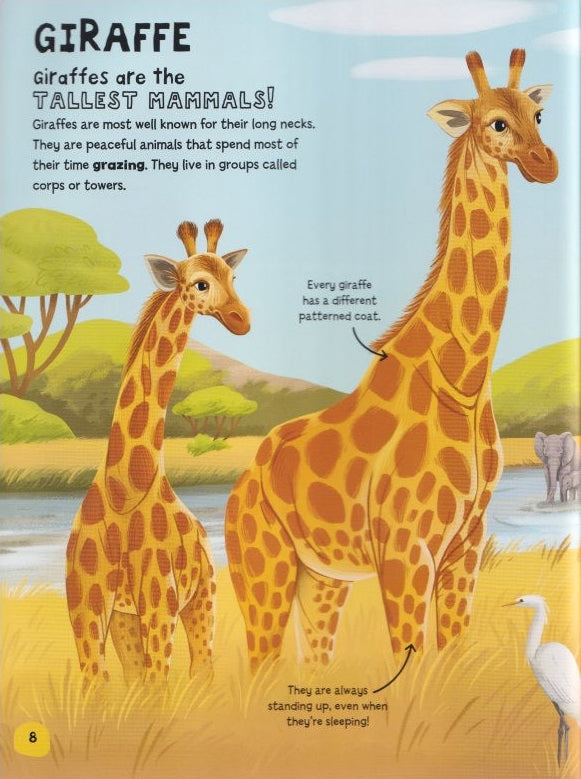 Young Adventurers: My Book About Mammals