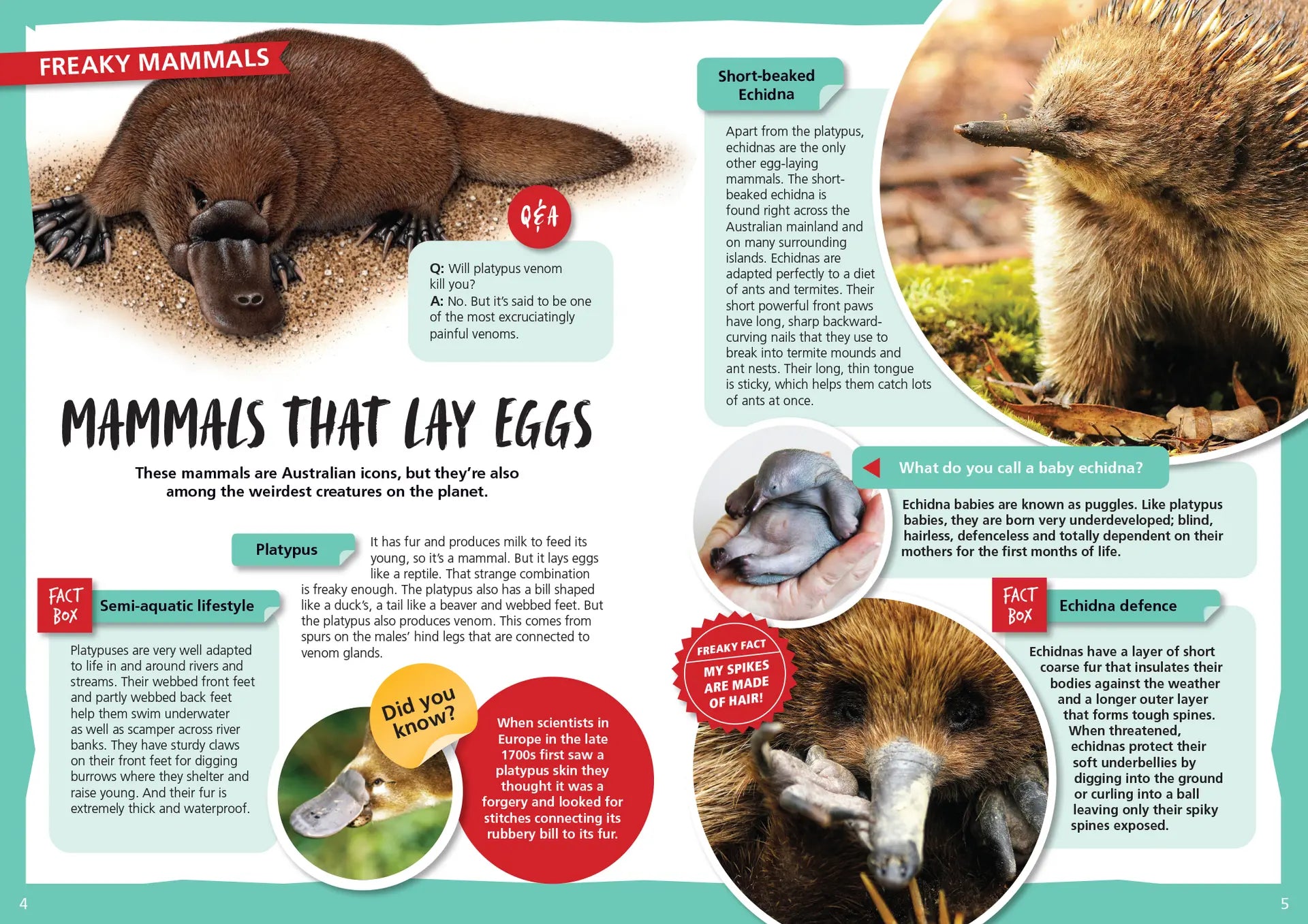 Australia's Most Freaky