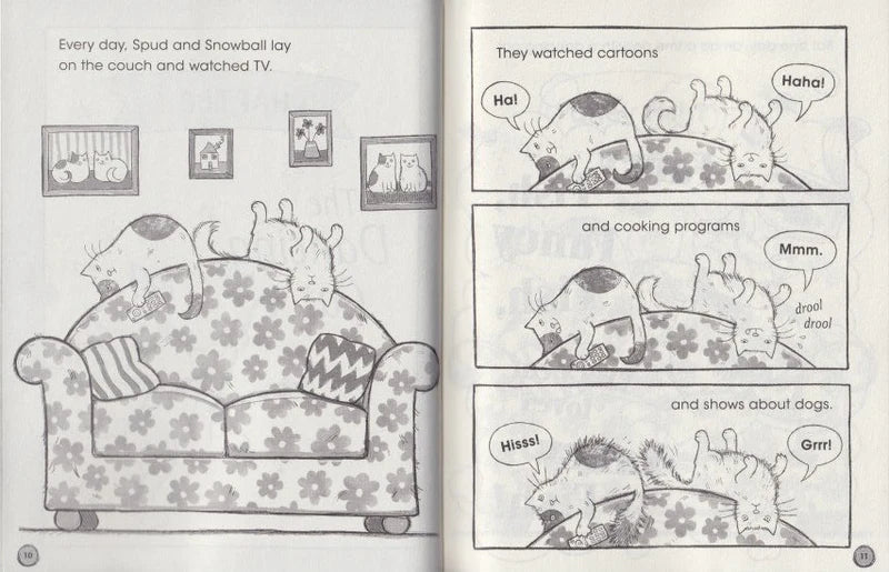 Junior Fiction Variety Pack (40 titles)