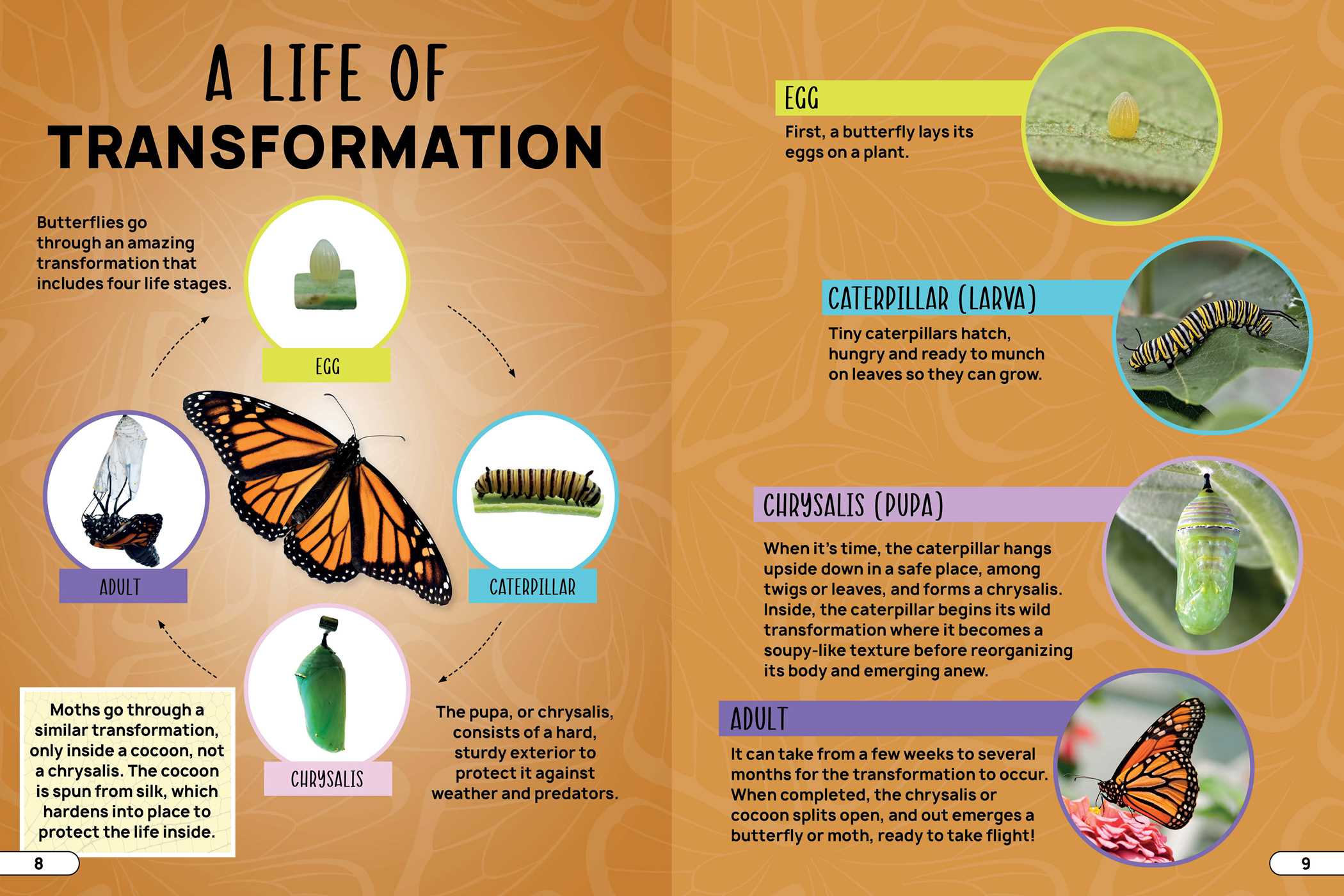 Smithsonian Explores: Bugs and Insects