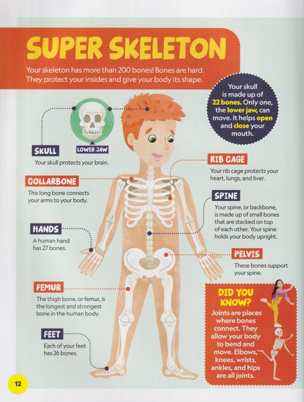 National Geographic Kids: My First Encyclopedia of Almost Everything (Disney)