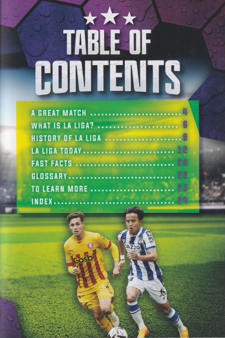 Soccer Leagues: LA Liga