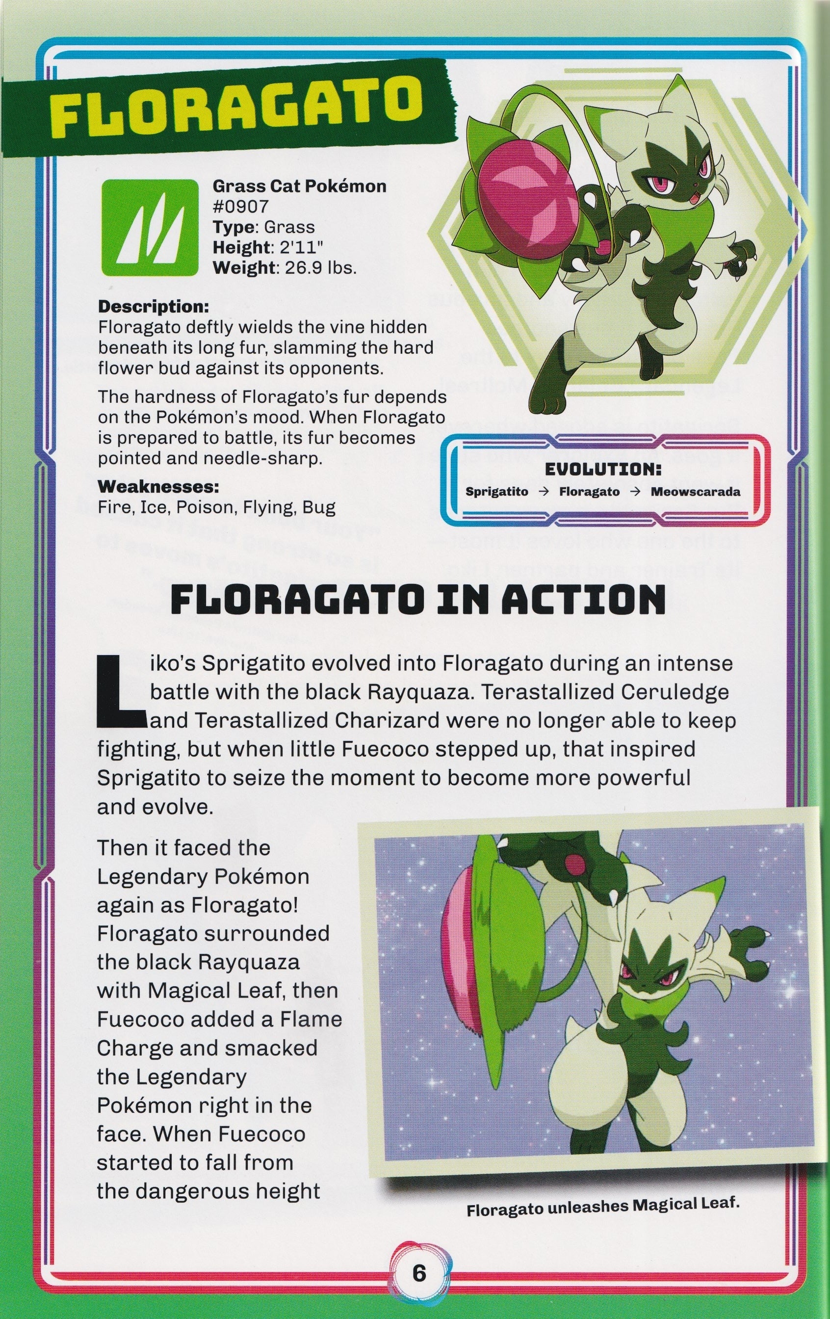 Pokémon Type Guide: Fire/Grass Types