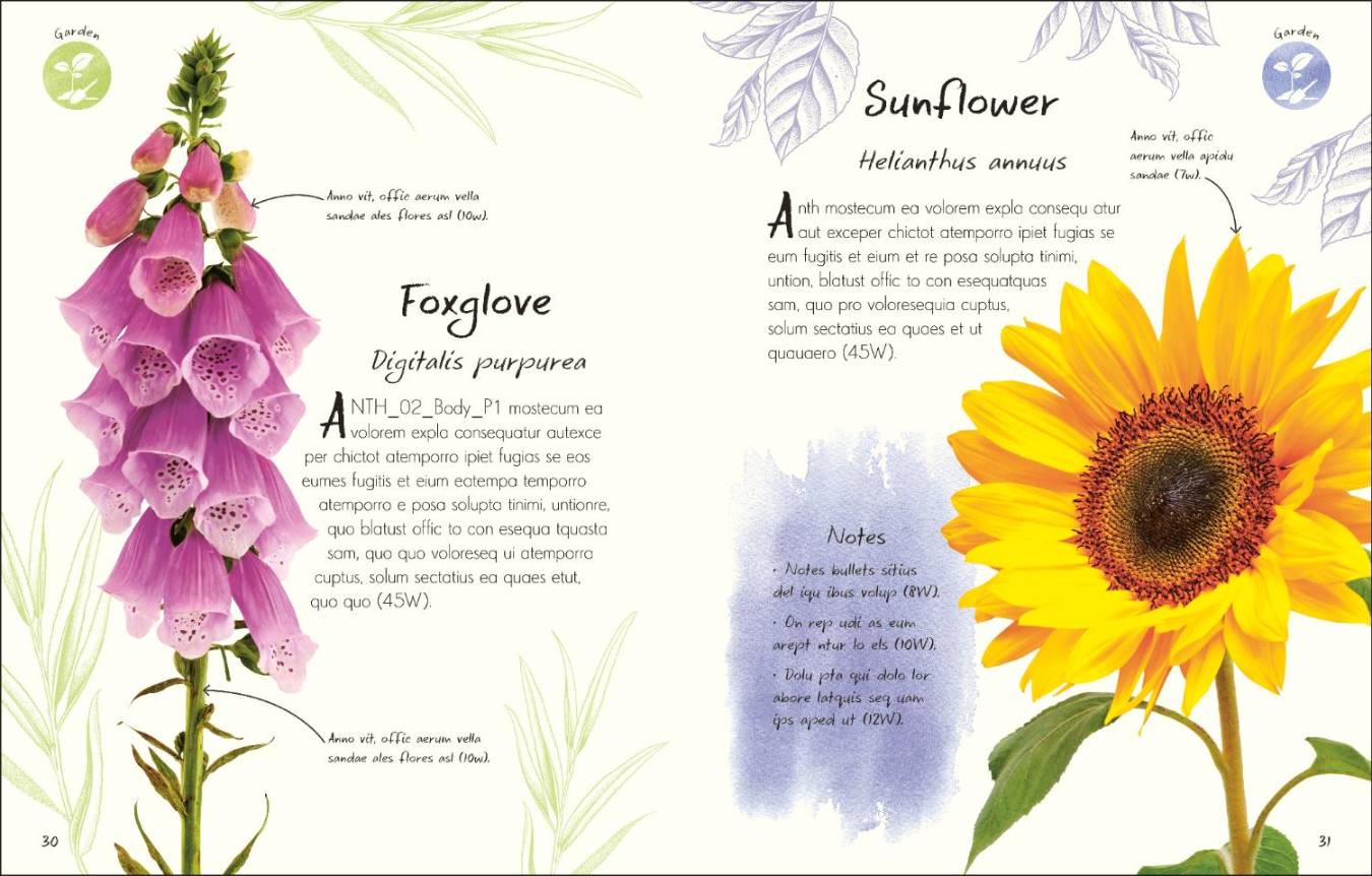 An Anthology of Flowers