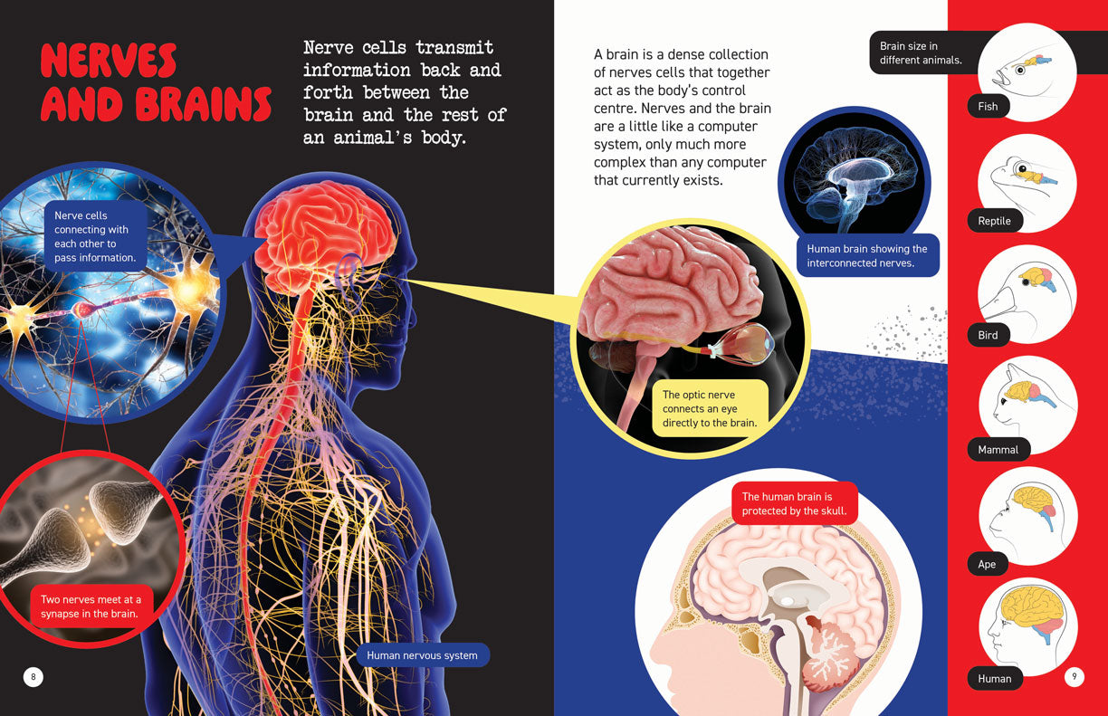 Microscopic and Hidden Life: Hidden Secrets of Animals