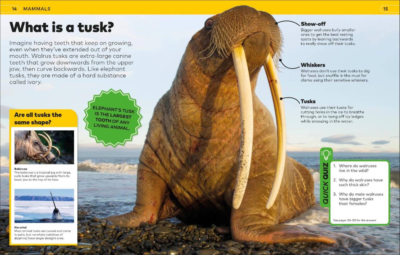 Why? Animals: Brilliant Answers to Baffling Questions