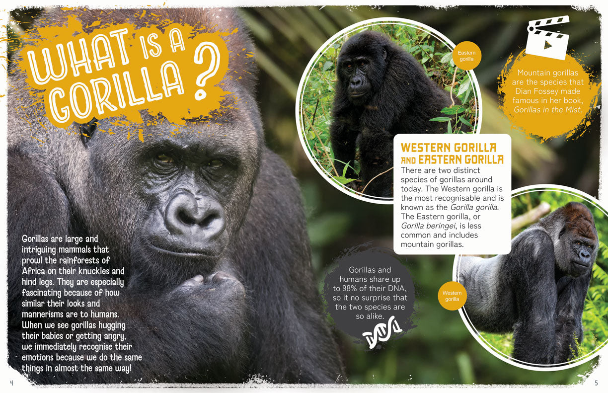 Remarkable Wildlife: Gorilla