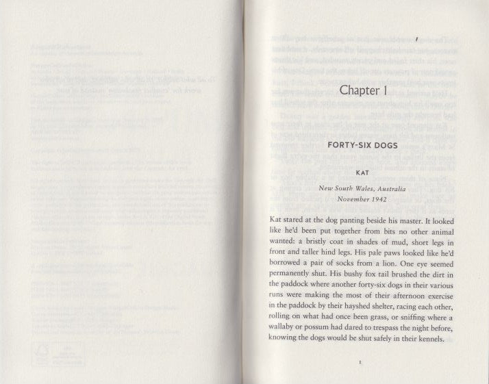 The Mushroom in the Sky