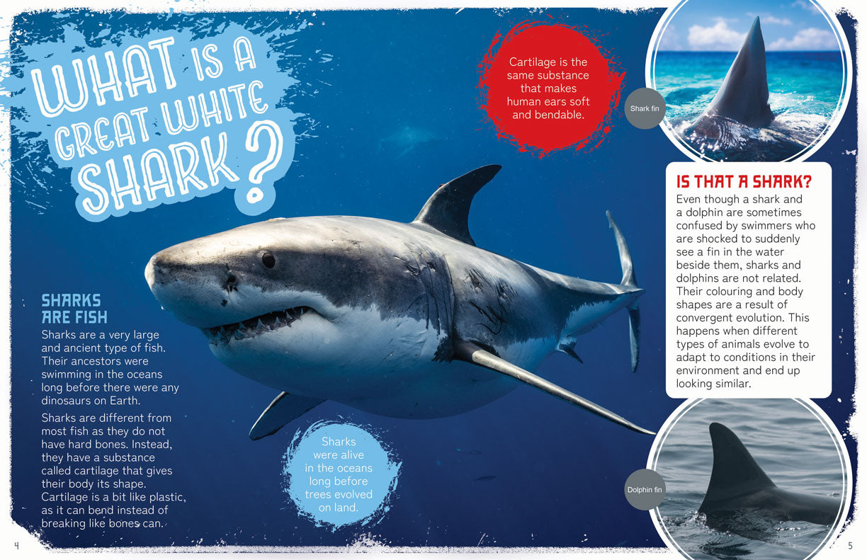 Remarkable Wildlife: Great White Shark