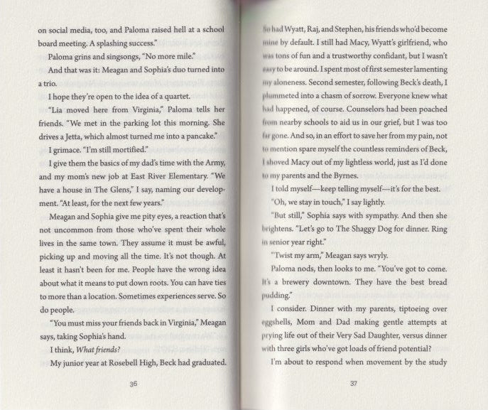 Everything I Promised You