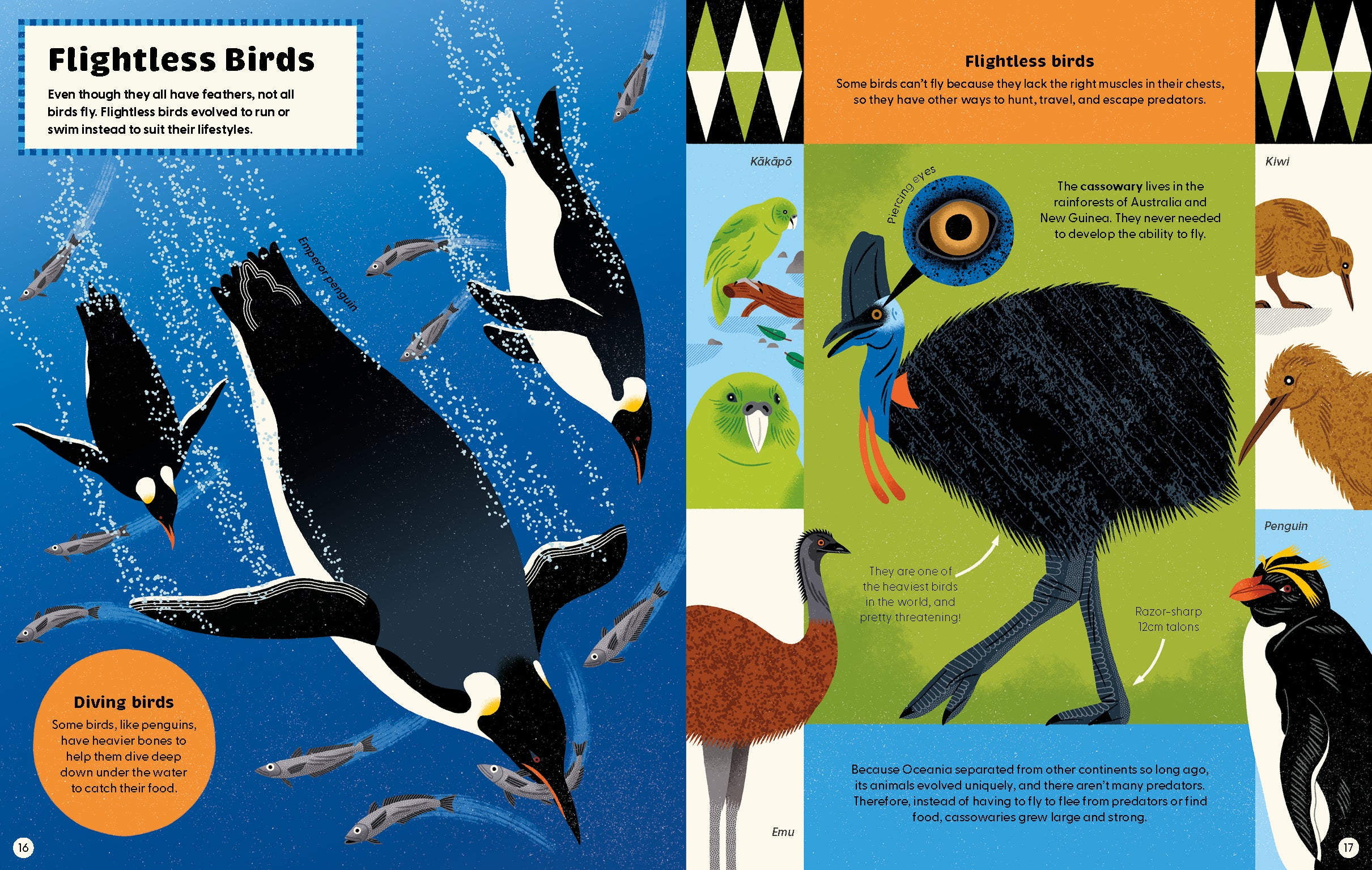 What Makes a Bird?: An Illustrated Guide to the Bird World