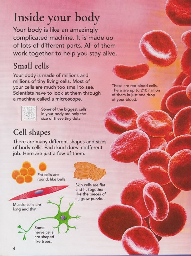 First Encyclopedia of the Human Body
