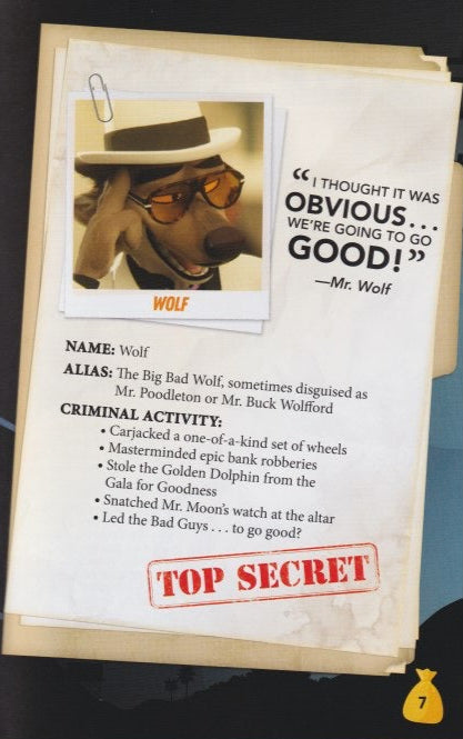 The Bad Guys 2: Guide to the Good, the Bad, and Everything in Between