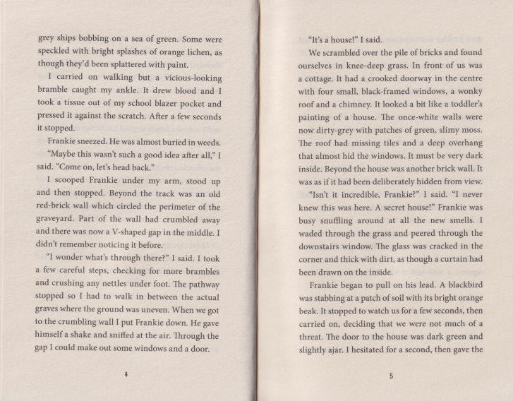 The Magpie Riddle: A Goldfish Boy Mystery