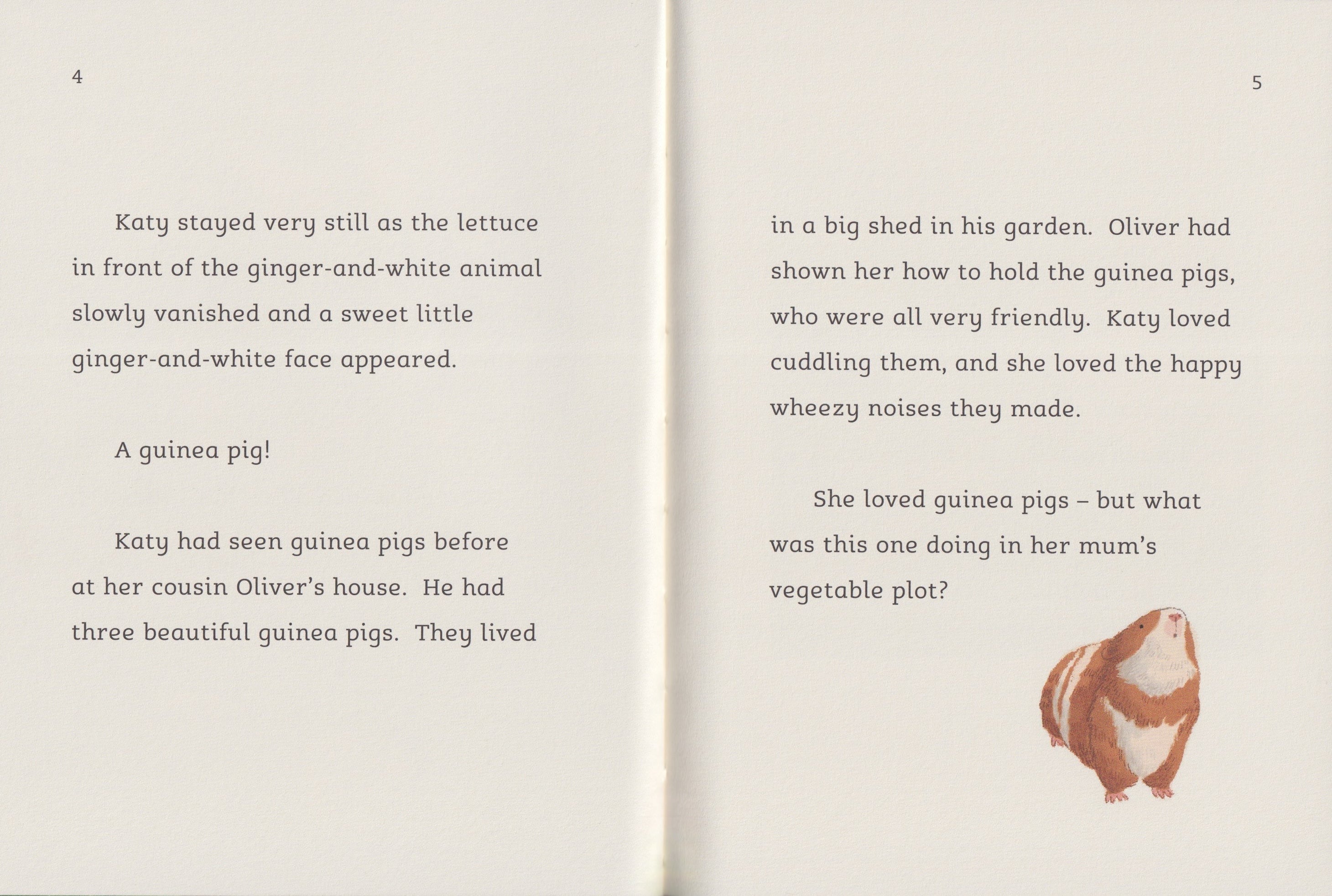 The Guinea Pig Party (Dyslexia-friendly)