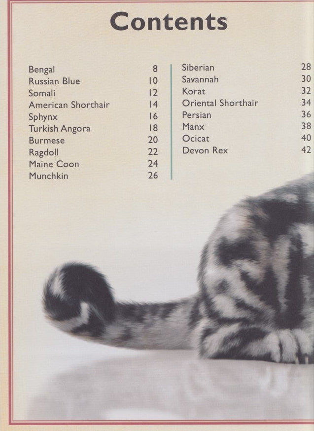 The Magnificent Book of Cats