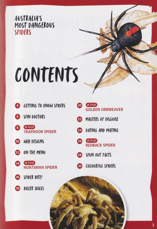 Australia's Most Dangerous Spiders
