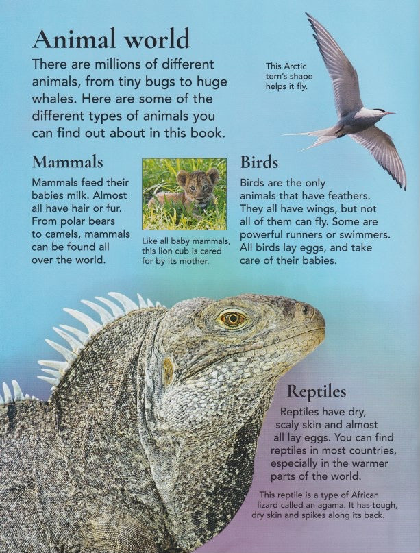 First Encyclopedia of Animals